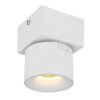 Illuminazione Globo Lighting Rae Plafoniera LED Bianco, 1-Luce