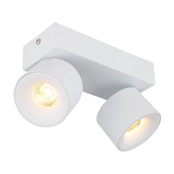 Illuminazione Globo Lighting Rae Plafoniera LED Bianco, 2-Luci