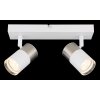 Illuminazione Globo Lighting Brisbon Plafoniera, Faretto da soffitto, Applique, Faretto da parete Bianco, 2-Luci