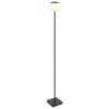 Illuminazione Globo Lighting Gregoir Lampada da terra LED Nero, 1-Luce