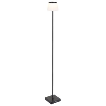 Illuminazione Globo Lighting Gregoir Lampada da terra LED Nero, 1-Luce