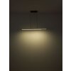 Illuminazione Globo Lighting Quito Lampadario a sospensione LED Marrone scuro, Nero, 1-Luce