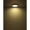 Illuminazione Globo Lighting Suna Plafoniera LED Nero, 1-Luce, Telecomando