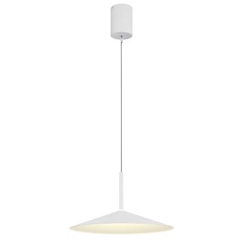 Illuminazione Globo Lighting Lampone Lampadario a sospensione LED Bianco, 1-Luce