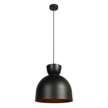 Illuminazione Steinhauer Skandina Lampada a sospensione Oro, Nero, 1-Luce