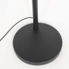 Illuminazione Steinhauer Light Lampada da terra Nero, 3-Luci