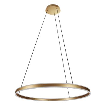 Illuminazione Steinhauer Ringlux Lampada a sospensione LED Oro, 2-Luci