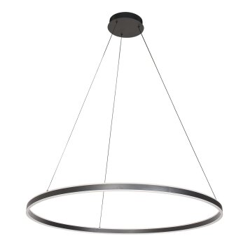 Illuminazione Steinhauer Ringlux Lampada a sospensione LED Nero, 2-Luci