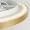 Illuminazione Steinhauer Flady Plafoniera LED Oro, 2-Luci