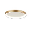 Illuminazione Steinhauer Ringlede Plafoniera LED Oro, 1-Luce