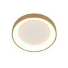 Illuminazione Steinhauer Ringlede Plafoniera LED Oro, 1-Luce