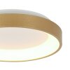 Illuminazione Steinhauer Ringlede Plafoniera LED Oro, 1-Luce