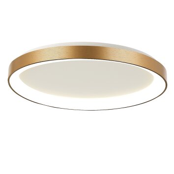 Illuminazione Steinhauer Ringlede Plafoniera LED Oro, 1-Luce