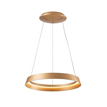 Illuminazione Steinhauer Ringlux Lampada a sospensione LED Oro, 1-Luce