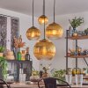 Koyoto Lampadario a sospensione, Lampada a sfera, Lampada a sospensione Oro, Chiaro, 4-Luci