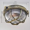 Godel Plafoniera da esterno, Plafoniera Oro, Nero, 1-Luce