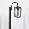 Lejonbacken Illuminazione esterna, Illuminazione viale Nero, 1-Luce