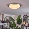 Kessmansbo Plafoniera LED Bianco, 1-Luce