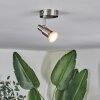 Illuminazione Trio Leuchten Gropptorp Plafoniera, Faretto da soffitto LED Nichel opaco, 1-Luce