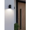 Illuminazione Eglo IZZALINI Lampada da parete per esterno LED Nero, 1-Luce