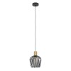 Illuminazione Eglo EMPOLI Lampadario a sospensione Ottone, Nero, 1-Luce