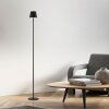 Illuminazione Leuchten Direkt EURIA Lampada da terra LED Nero, 1-Luce