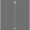 Illuminazione Leuchten Direkt EURIA Lampada da terra LED Grigio, 1-Luce