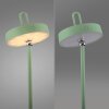 Illuminazione Leuchten Direkt AMAG Lampada da tavolo LED Verde, 1-Luce