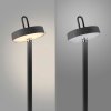 Illuminazione Leuchten Direkt AMAG Lampada da terra LED Nero, 1-Luce