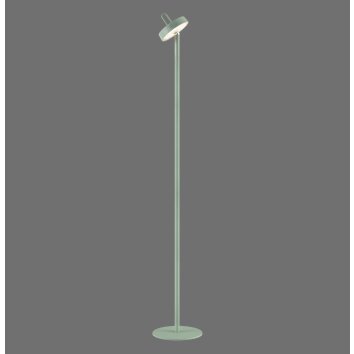 Illuminazione Leuchten Direkt AMAG Lampada da terra LED Verde, 1-Luce