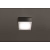 Illuminazione LCD Jachenau Plafoniera, Applique LED Antracite, 1-Luce