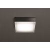 Illuminazione LCD Jachenau Plafoniera, Applique LED Antracite, 1-Luce