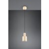 Illuminazione Trio Leuchten Agudo Lampada a sospensione Beige, 1-Luce