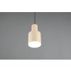 Illuminazione Trio Leuchten Agudo Lampada a sospensione Beige, 1-Luce