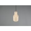 Illuminazione Trio Leuchten Agudo Lampada a sospensione Beige, 1-Luce