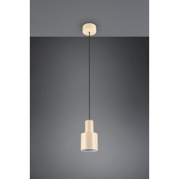 Illuminazione Trio Leuchten Agudo Lampada a sospensione Beige, 1-Luce