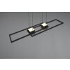 Illuminazione Trio Leuchten ALBANY Lampada a sospensione LED Nero, 1-Luce, Telecomando