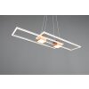 Illuminazione Trio Leuchten ALBANY Lampada a sospensione LED Marrone, 1-Luce, Telecomando