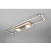 Illuminazione Trio Leuchten ALBANY Plafoniera LED Nichel opaco, 1-Luce, Telecomando