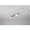 Illuminazione Trio Leuchten ALBANY Plafoniera LED Marrone, 1-Luce, Telecomando