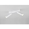 Illuminazione Trio Leuchten Ambala Faretto da soffitto LED Bianco, 2-Luci