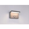 Illuminazione Trio Leuchten Blyde Applique LED Antracite, 1-Luce, Sensori di movimento