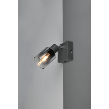 Illuminazione Reality Cadiz Faretto da soffitto Antracite, 1-Luce