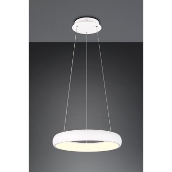 Illuminazione Trio Leuchten Cardona Lampada a sospensione LED Bianco, 1-Luce