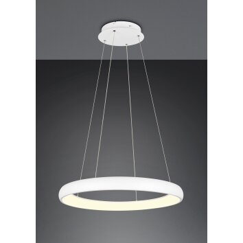 Illuminazione Trio Leuchten Cardona Lampada a sospensione LED Bianco, 1-Luce