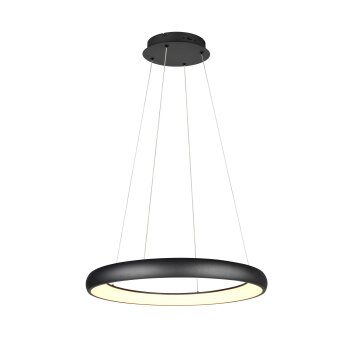 Illuminazione Trio Leuchten Cardona Lampada a sospensione LED Nero, 1-Luce