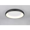 Illuminazione Trio Leuchten Cardona Plafoniera LED Nero, 1-Luce