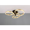 Illuminazione Trio Leuchten Caruso Plafoniera LED Nero-Oro, 1-Luce