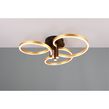 Illuminazione Trio Leuchten Caruso Plafoniera LED Nero-Oro, 1-Luce