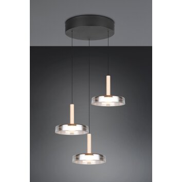 Illuminazione Trio Leuchten Celeste Lampada a sospensione LED Nero, 1-Luce